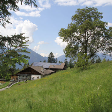 Speck - Gfolerhof St. Leonhard