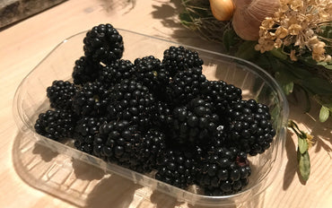 Frische Brombeeren - Vintlerhof Milland