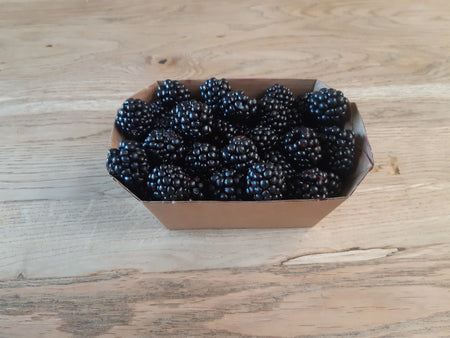 Brombeeren  - Niedersthof Lüsen