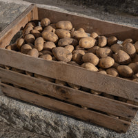 Kartoffeln - Niedersthof Lüsen