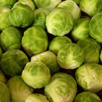 Rosenkohl - Marxenhof Kranebitt