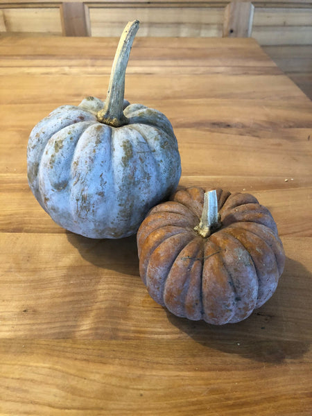 Zucca Futsu Nero - Marxenhof Kranebitt