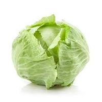 Cavolo verza - Marxenhof Kranebitt