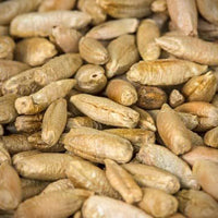 Organic rye - Frötscherhof Mellaun